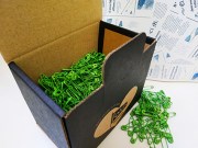 IPCG012720_Green_4c9c8b0830e04.jpg